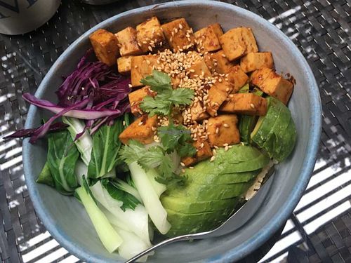 teriyaki tofu at Frank and Co in Cairo