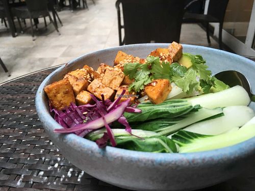 teriyaki tofu again at Frank and Co in Cairo