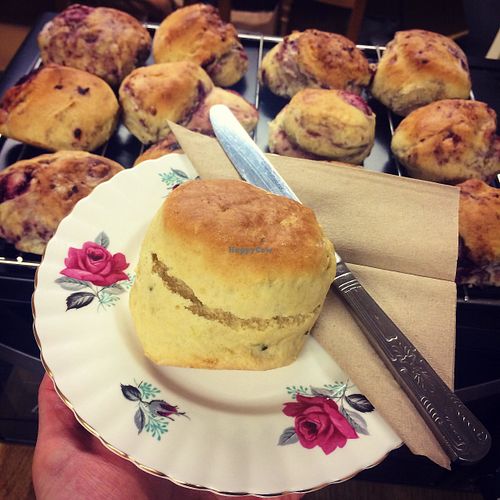 Homemade Cheddar and Chive Vegan Scone at Chapter One Coffee Shop in Edinburgh