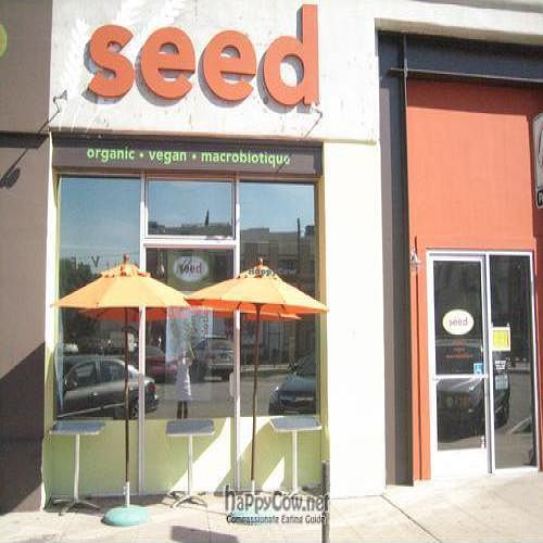  at Seed Kitchen in Venice