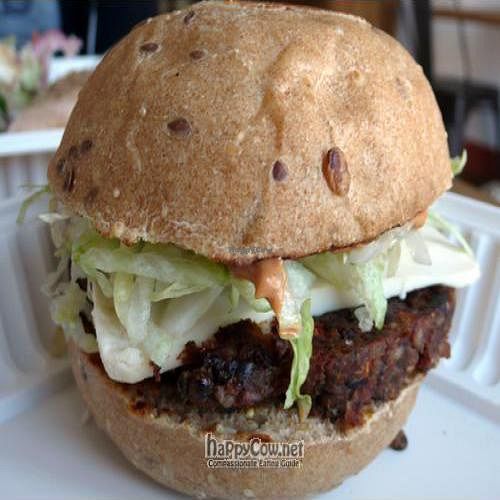 Southwest Burger at Seed Kitchen in Venice