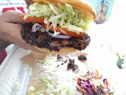 Mediterranean Burger  at Seed Kitchen in Venice