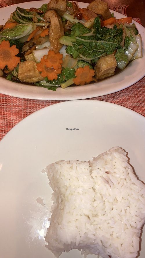 Tofu and cashews fried with rice on the side!  at Chalita in Krabi