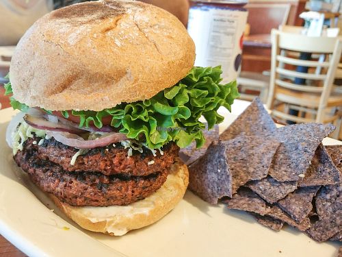 Double Hungry Planet Burger at The Natural Cafe in Simi Valley
