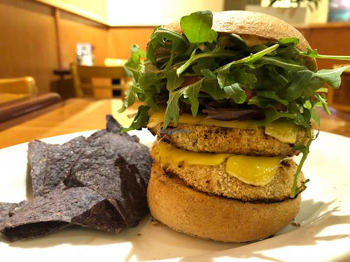 Double Hungry Planet Southwest Chicken Sandwich (no longer available) at The Natural Cafe in Simi Valley