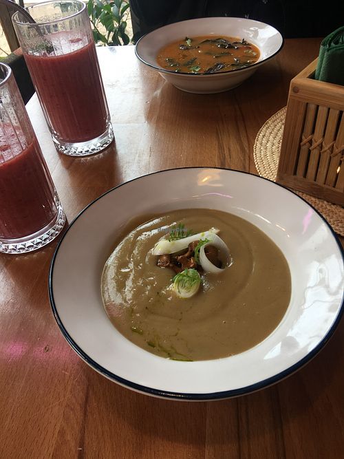 kohlrabi soup with mushrooms at GRÜN in St Petersburg