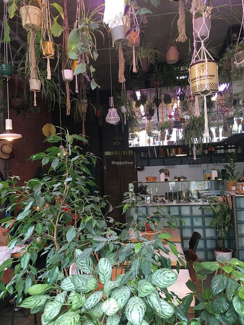 grun at GRÜN in St Petersburg