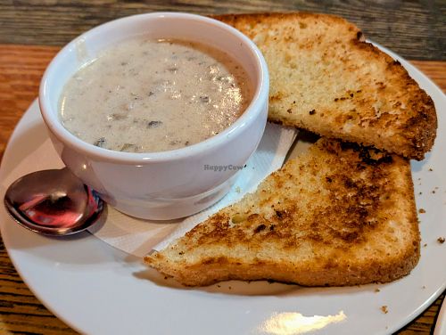 Cup of Cream of Oyster Mushroom Soup at High Note Cafe in Boise