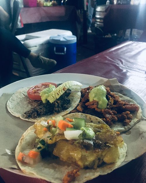 Tacos! at Veggisima in Playa Del Carmen