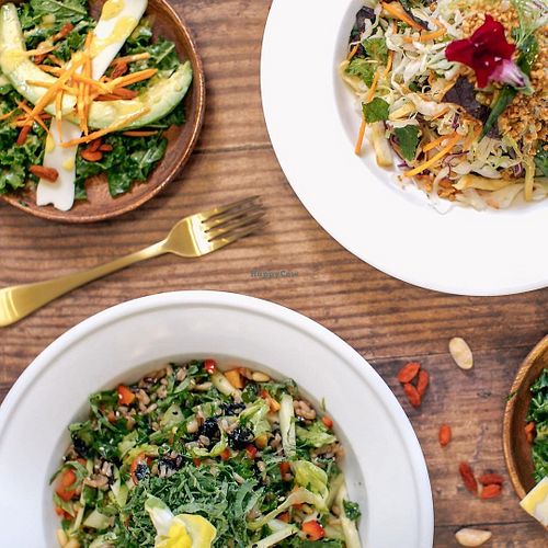 Image of Vegetarian House