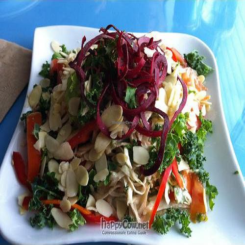 Raw Fettuccine at Vegetarian House in San Jose