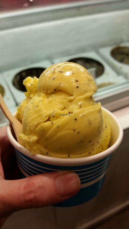 Vegan Lemon Poppyseed Ice Cream at Melt in North Myrtle Beach