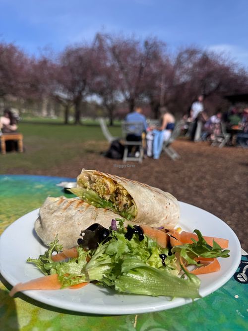 Falafel wrap at The Pavilion Cafe in Edinburgh