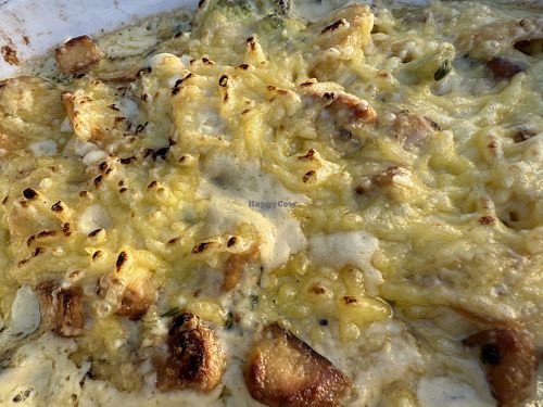 casserole vegan  at Pizzeria Trattoria Sorrentino in Cologne