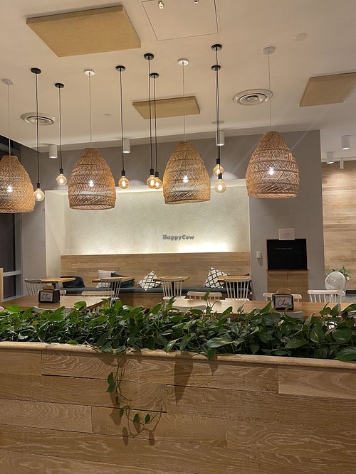 Cute Interior Seating  at Chaia - Chinatown in Washington