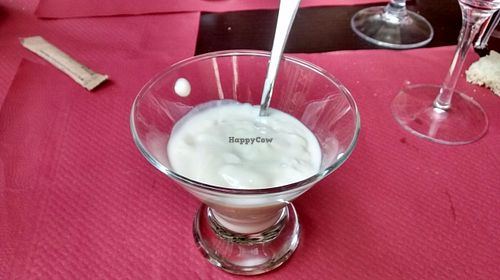 Mango yogurt at B12 in Girona