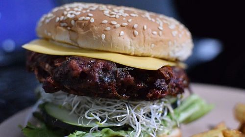 Image of esTACOmo quiere