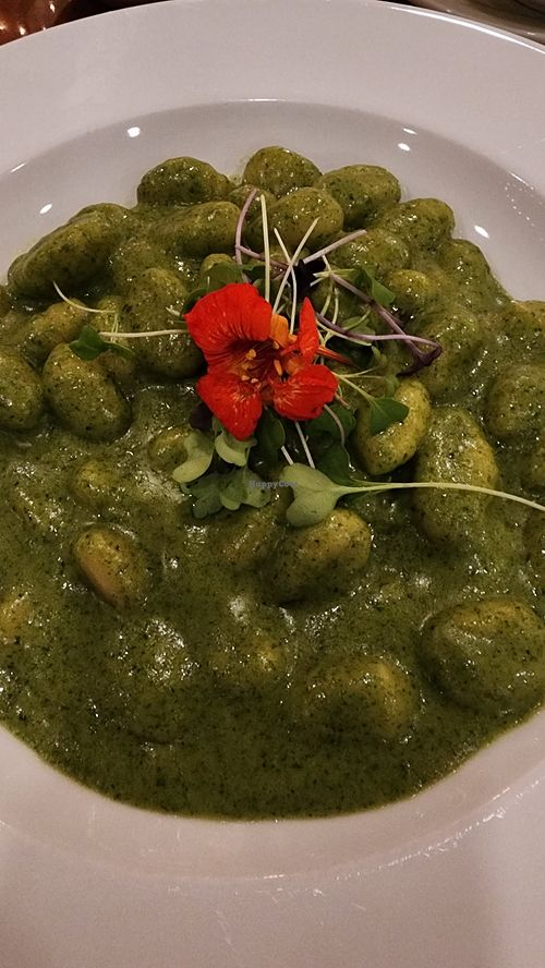 Gnocchi with pesto at Green Fusion in Ridgewood