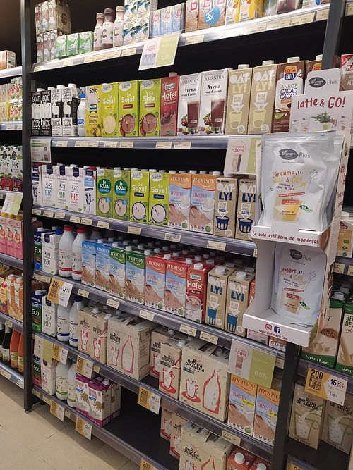 Plant 🥛 at Veritas in Madrid