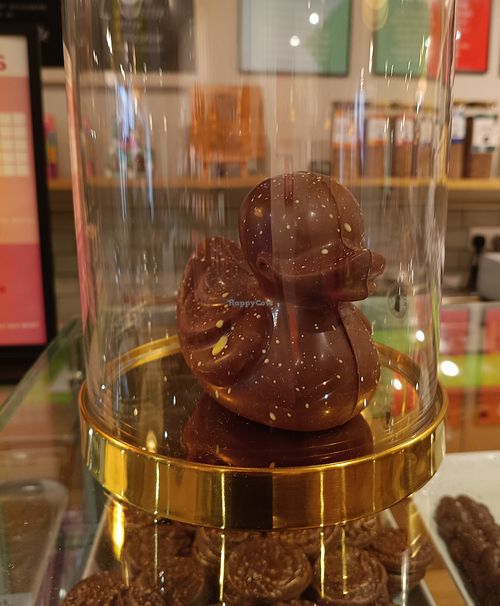 Chocolate duck (veg) at Chococo in Exeter