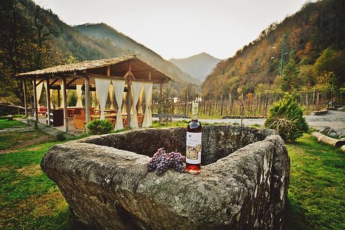 We are making THE BEST WINE! at Adjarian Wine House in Acharistskali