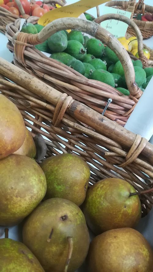 Organic Buzz Palmerston North Health Store HappyCow