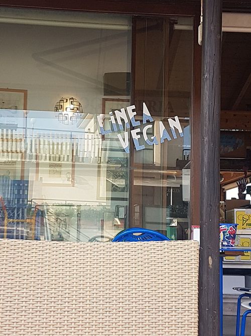 Vegan ice cream at Bar Gelateria La Boheme in Viareggio