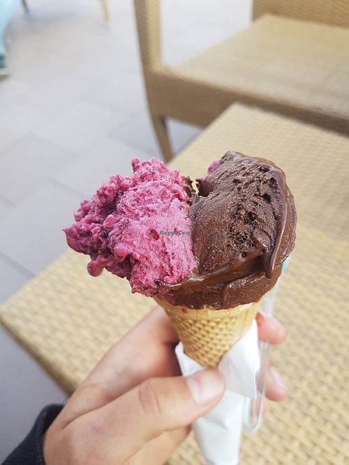 Dark chocolate and fruit sorbet at Bar Gelateria La Boheme in Viareggio