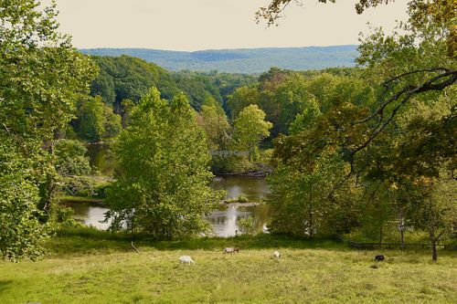 View from the Agnes Room at The Gray Barn in High Falls