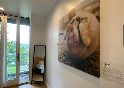 The Agnes Room at The Gray Barn in High Falls