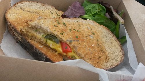 Vegan cheese and roasted peppers toasted sandwich  at Sea Change  in South Shields