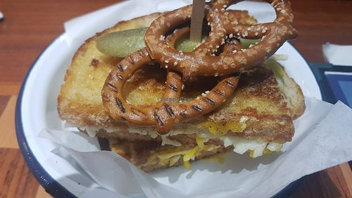 Fungi cheezer at Sea Change  in South Shields