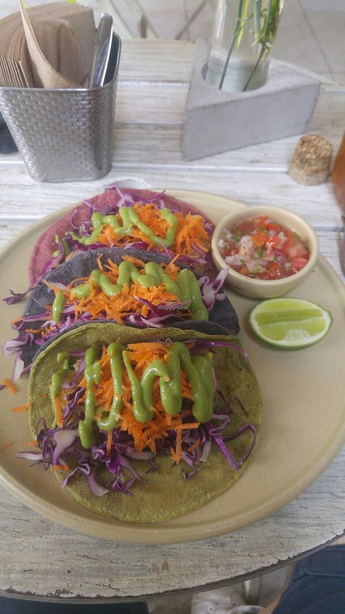 Vegan Tacos with fried tofu! at Arbol Veggie  in Guadalajara