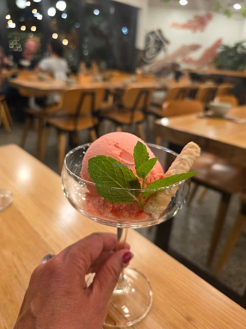 Watermelon gelato at Owens in Rosebud