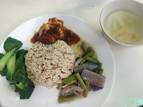 Set rice with vege, long beans, brinjal and Braised tofu at Create Healthy Lifestyle 創意素食 in Central Singapore