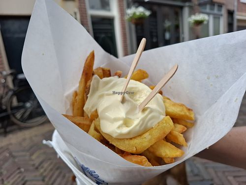 Fries with vegan mayonnaise at De Vlaminck in Alkmaar