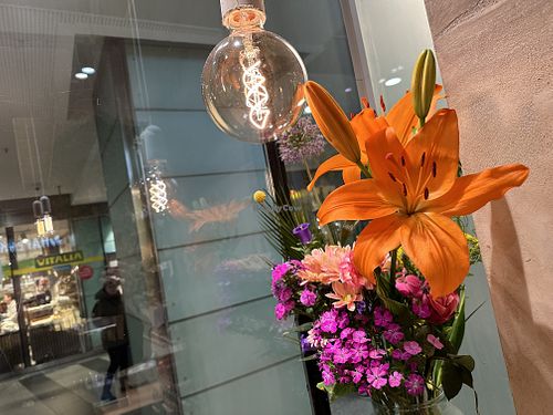 View from inside out  at Haferkater - S-Bf Friedrichstraße in Berlin