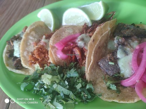 Tacos at El Bajón Vegano in Tulum