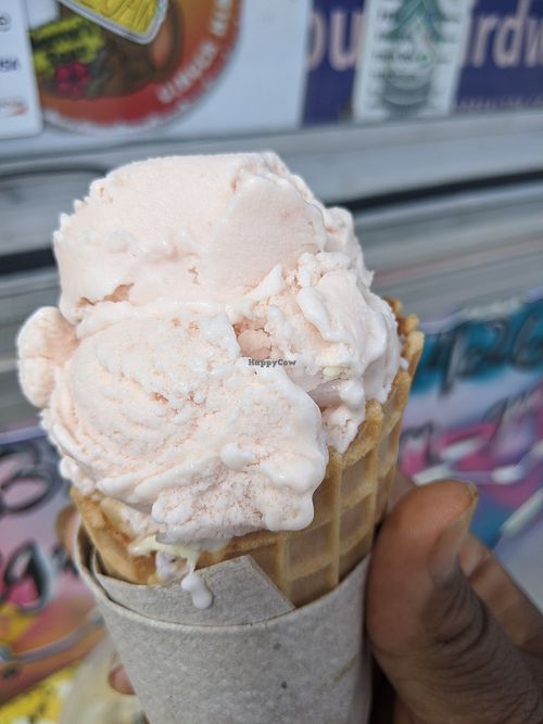 Watermelon, mango scoops on sugar cone at Earthy Goodness in Houston
