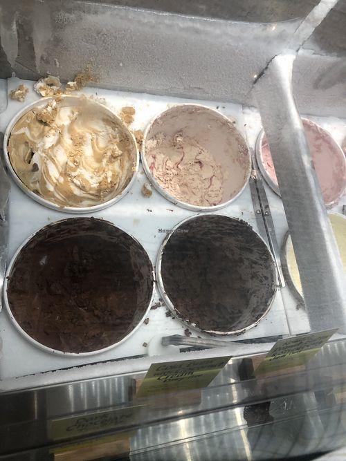 4 Vegan Flavors in last cooler  at Jeni's Ice Creams in Washington