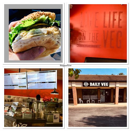 Impossible cheeseburger! at Daily Veg in Wilmington