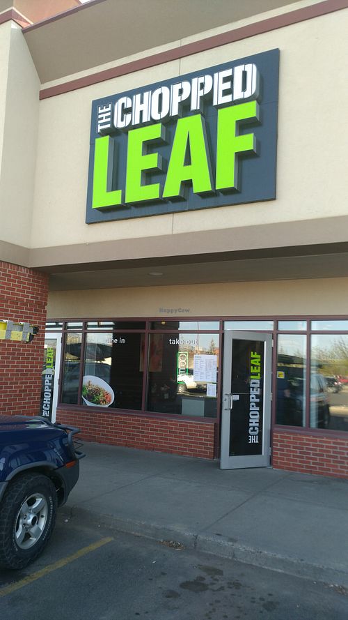 A fast food type mostly vegan / vegetarian restaurant.  Excellent fresh food wraps, salads and bowls of food. Loved their vegan green Goddess dressing. at The Chopped Leaf in Lethbridge