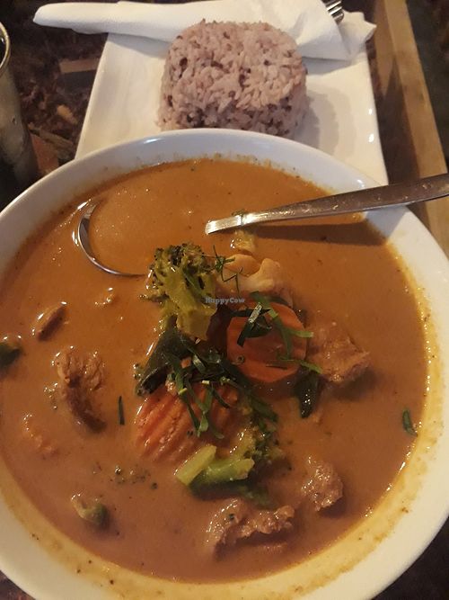 Penang curry at Ashoka Vegan in Koh Phangan