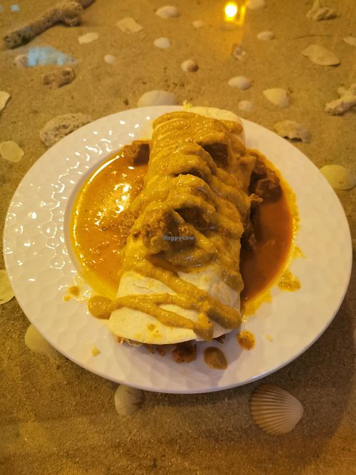 Massaman burrito at Ashoka Vegan in Koh Phangan