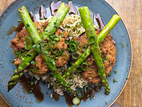 Mushroom,  tempeh special at Harvest Cafe in Fairfield