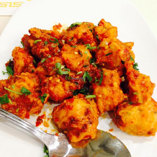 Gobi Manchurian at Woodlands in Artesia