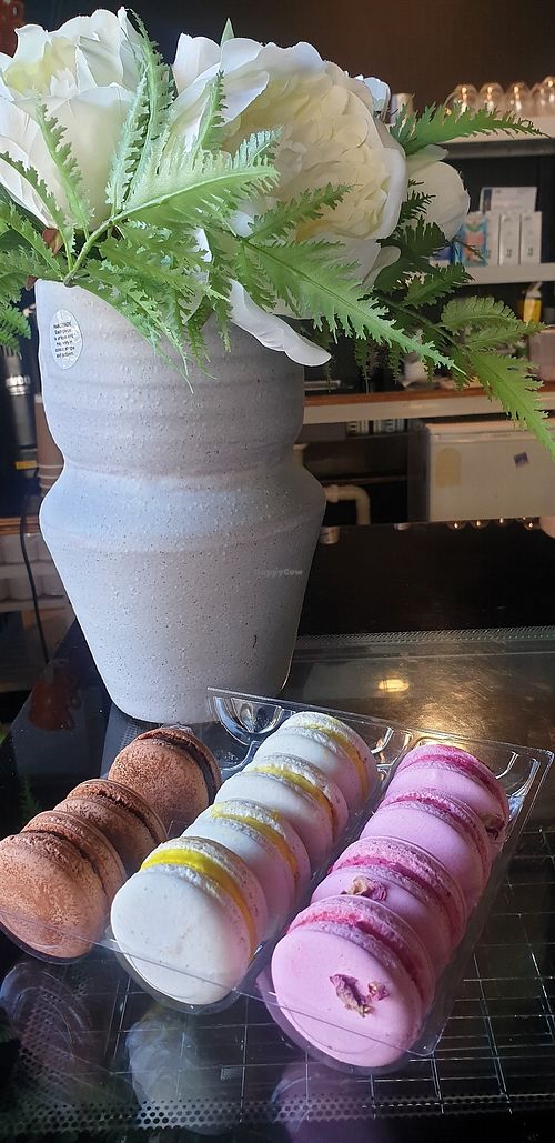 Macroons at Lisica Cafe in Maribyrnong
