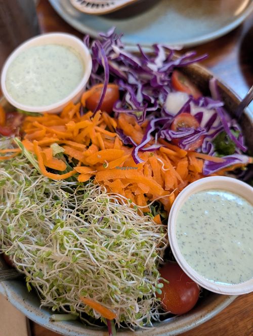 Organic garden salad w/ tahini dressing at Follow Your Heart Market & Cafe in Canoga Park