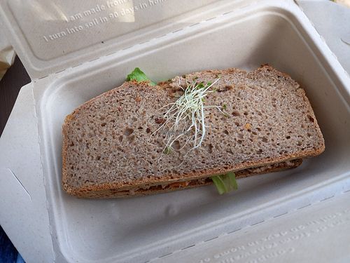 Sandwich at Terra Vega in Nantes