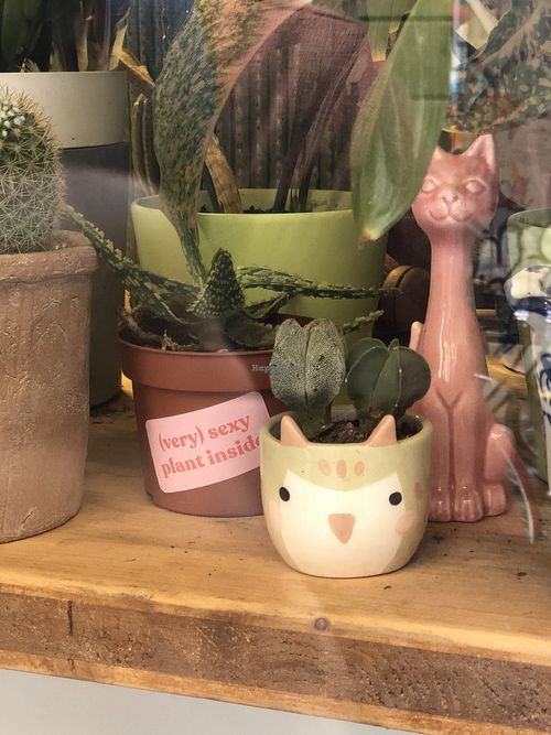 Inside  at CactusCat Bar in Barcelona